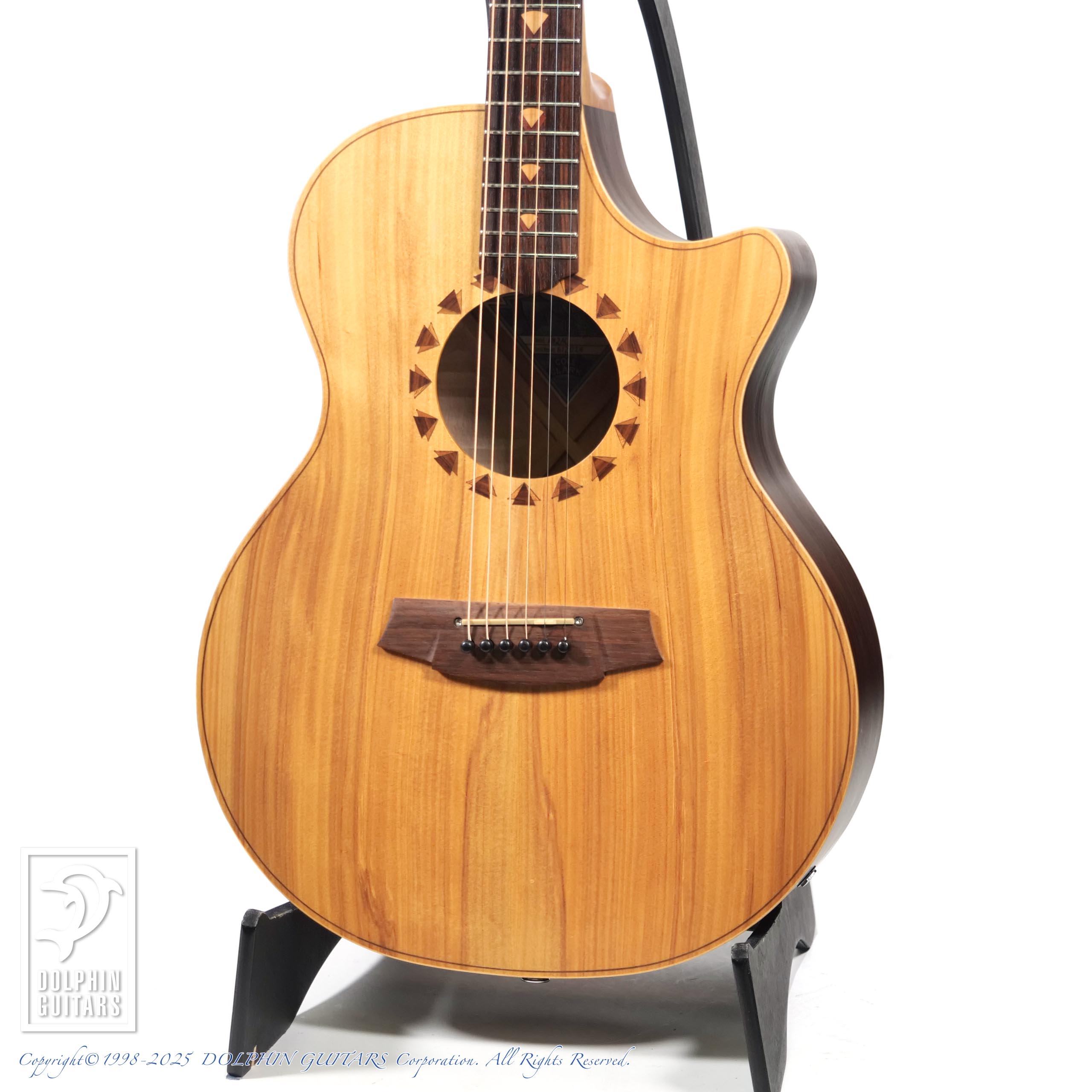 COLE CLARK AN2AC|ドルフィンギターズ