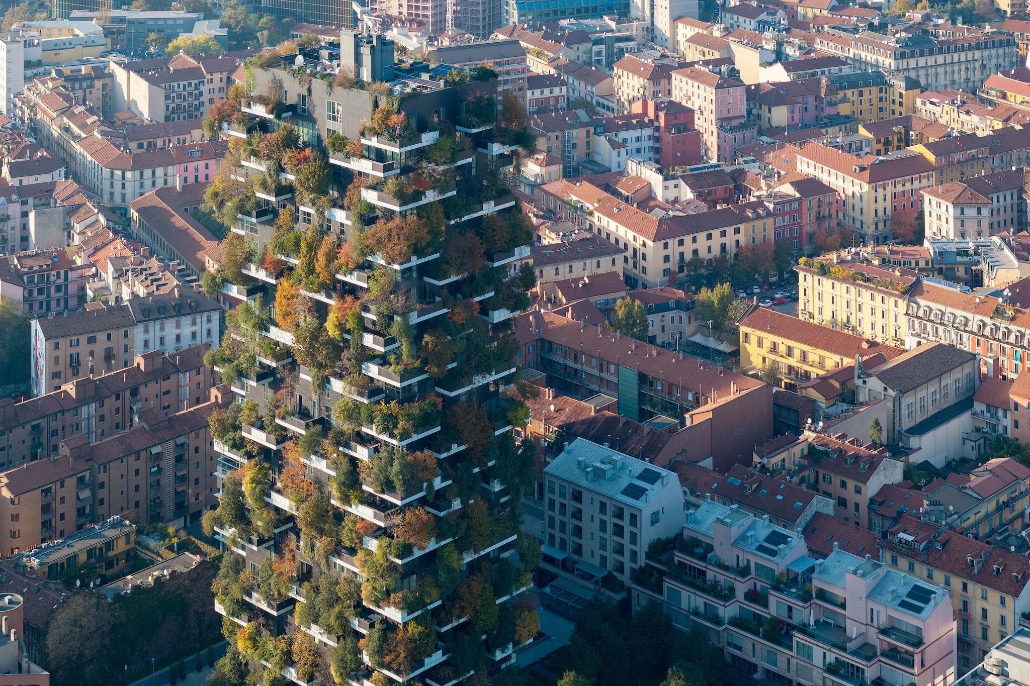 The Bosco Verticale, 10 years old, as told by Iwan Baan's