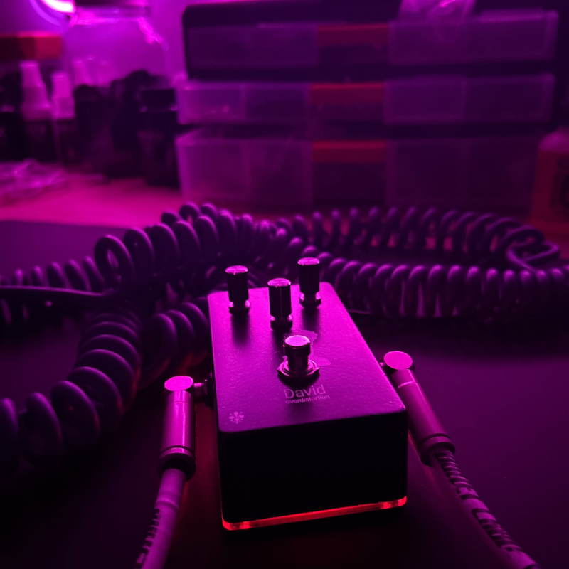 DAVID distortion black Dophix -