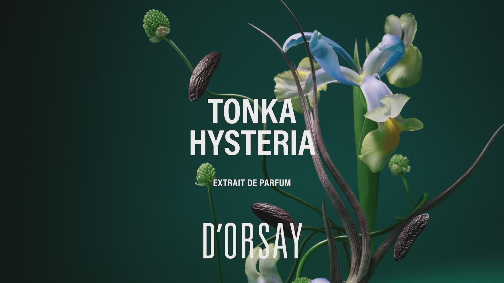 Extrait de Parfum TONKA HYSTERIA | Unisex Amber Fragrance – Maison