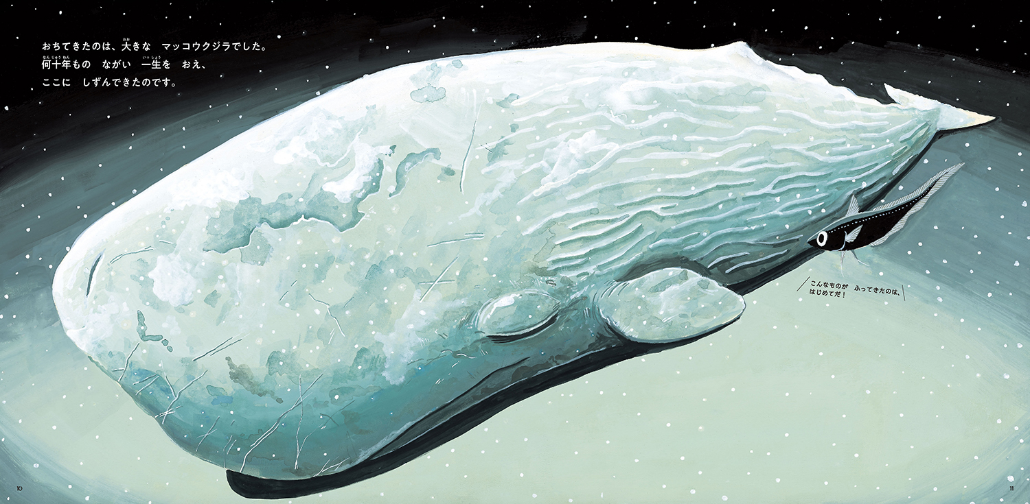 クジラがしんだら (童心社の絵本) ：江口絵理／かわさきしゅんいち