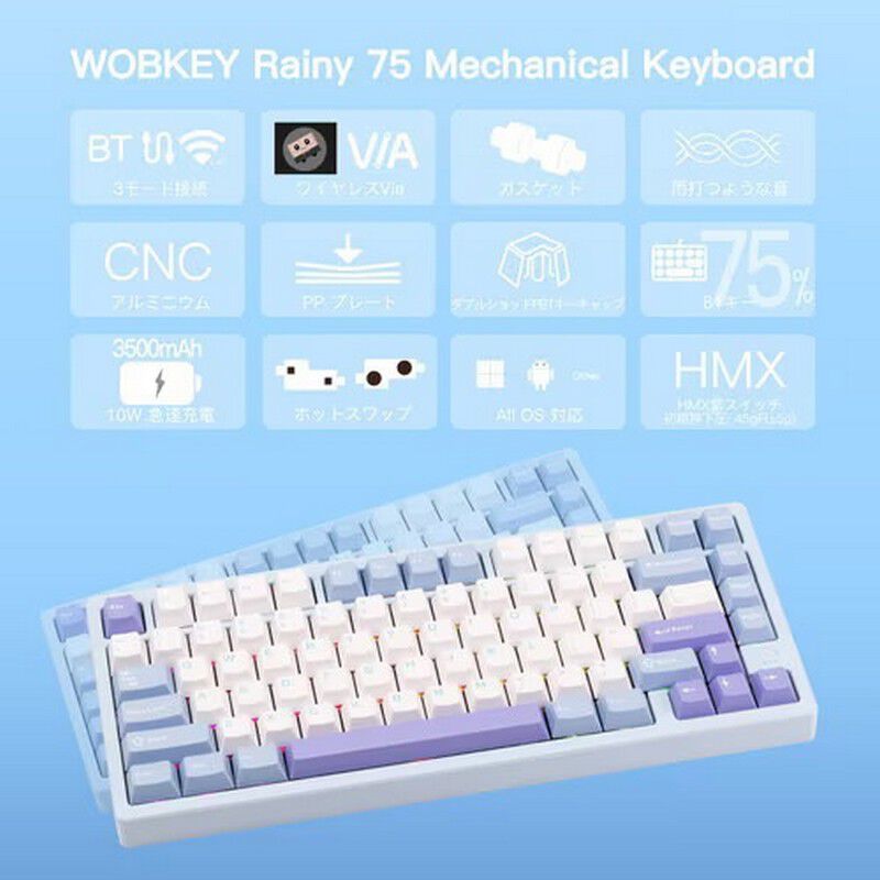 WOBKEY Rainy 75 Color SR75BLU (ブルー) ｜ パソコン通販のドスパラ