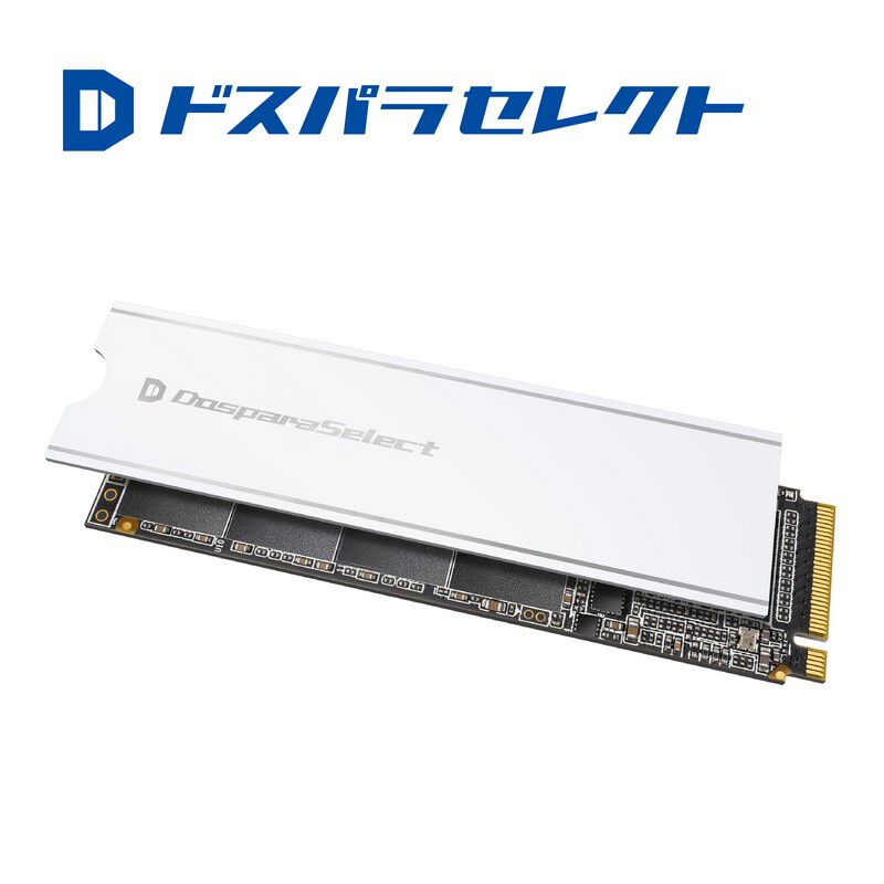 ドスパラ PG4-020TA1 2TB M.2 NVMe SSD ドスパラセレクト PGX4-020TA1