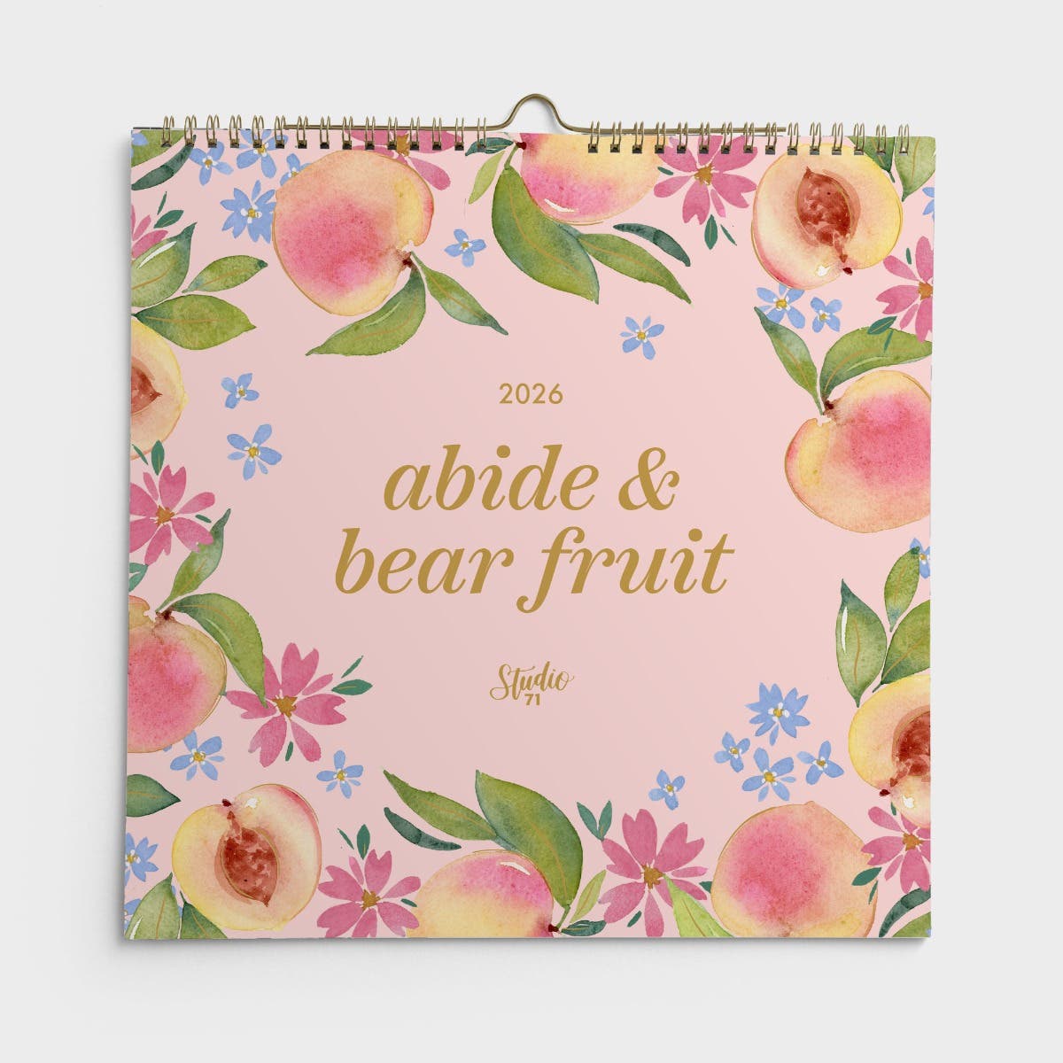 u3396.jpg?optimize=high&fit=