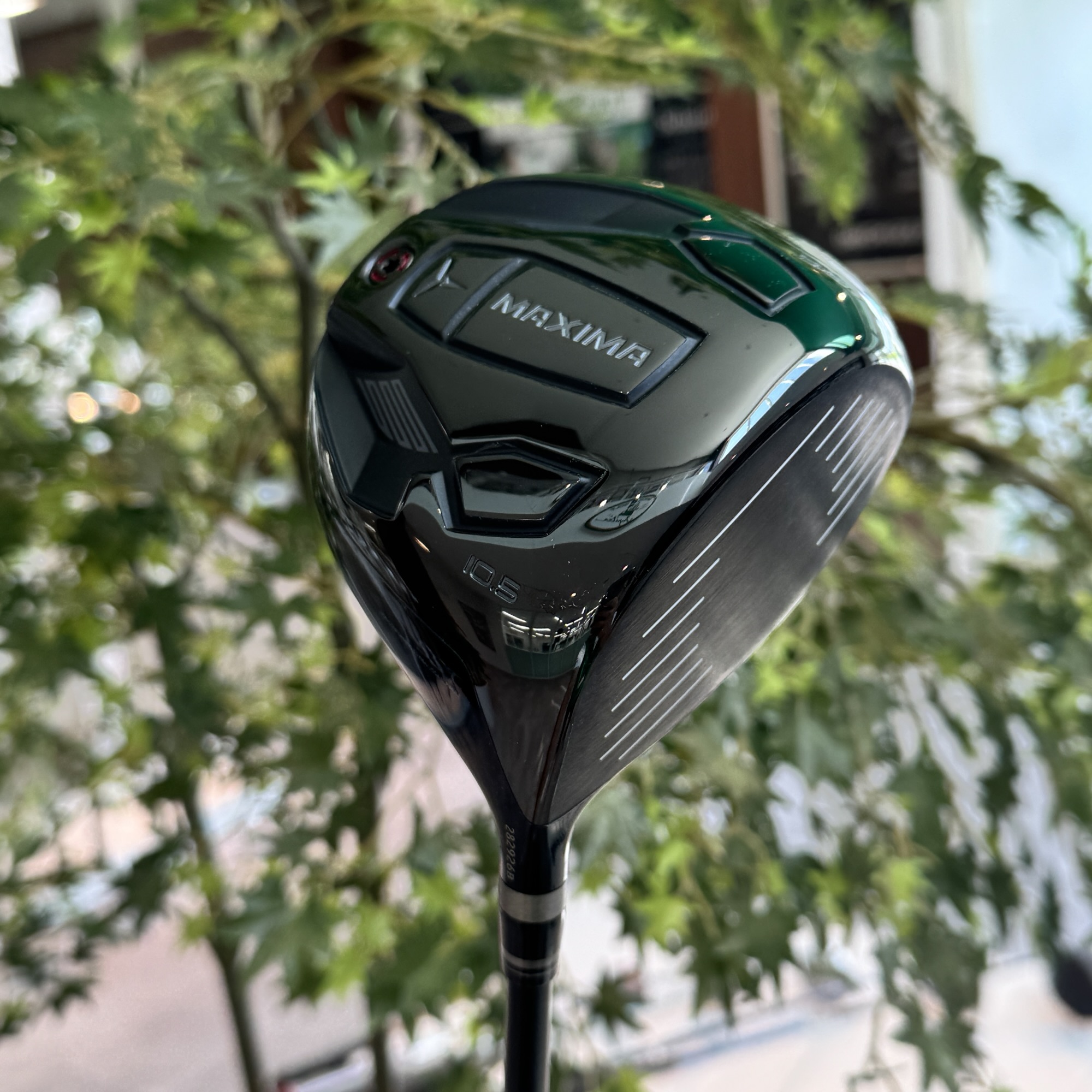 リョーマゴルフ RYOMA D-1 マキシマ スペシャルチューニング(高反発