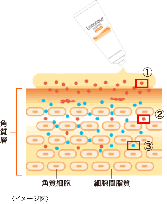 製品紹介 ロコベースリペア クリーム | ロコベースリペア | 第一三共