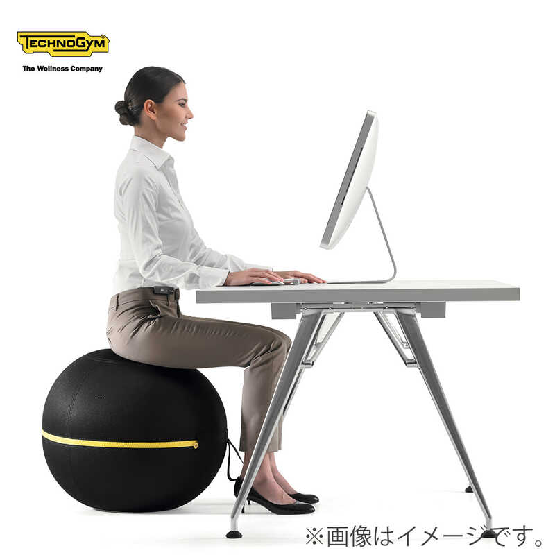 WELLNESS BALL ACTIVE SITTING （55cm