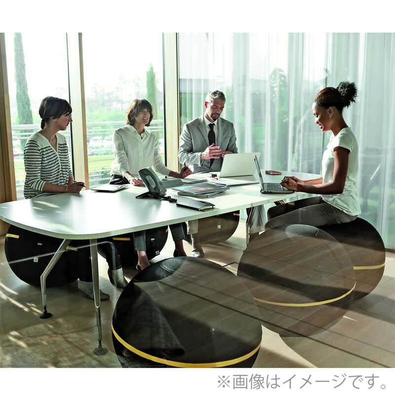 WELLNESS BALL ACTIVE SITTING （55cm