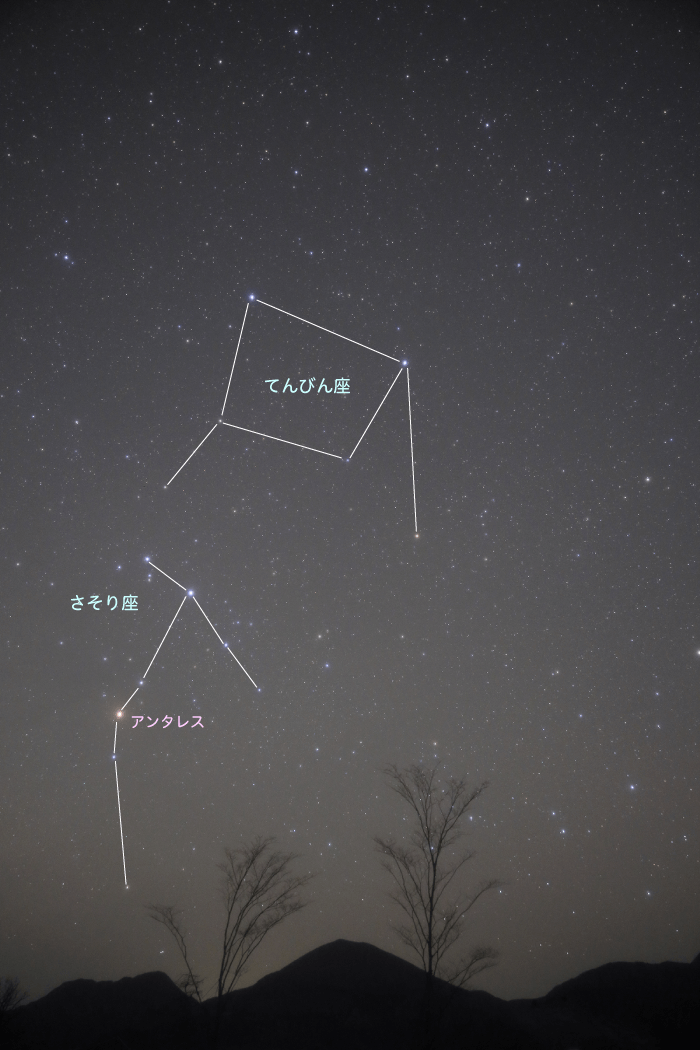 てんびん座｜星や月｜大日本図書