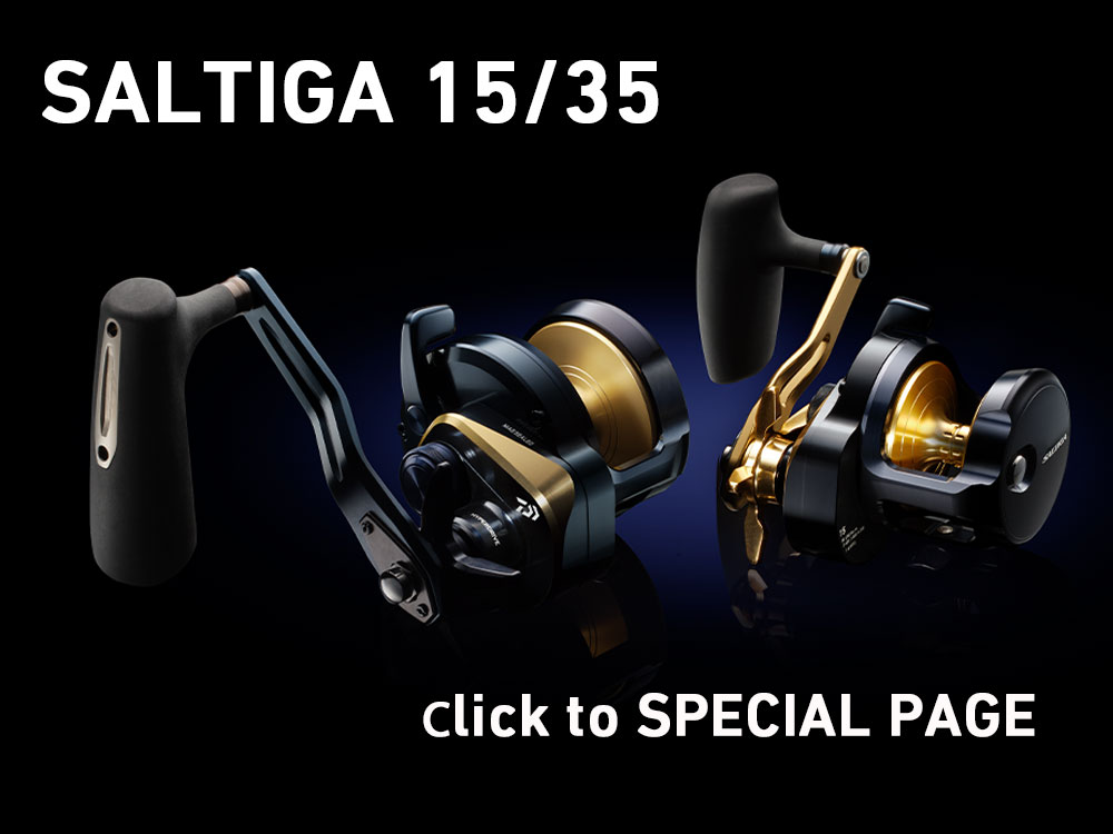 ソルティガ 15(リール)｜DAIWA
