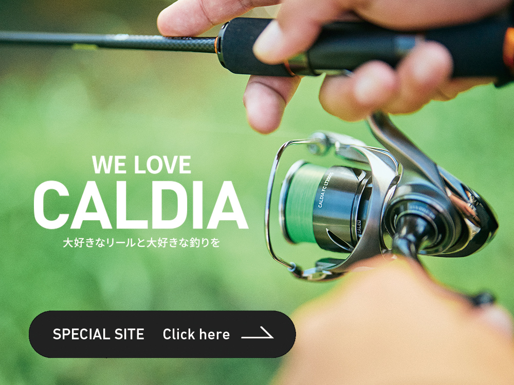 カルディア(リール)｜DAIWA
