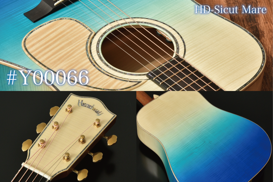 CUSTOMSHOP | Deviser ｜株式会社ディバイザー｜長野県松本市のギター