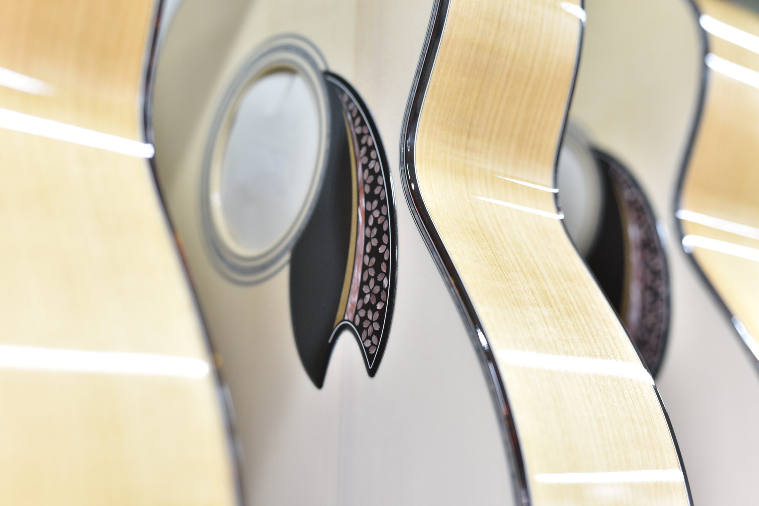 ご当地-吉野千本桜 | Deviser ｜株式会社ディバイザー｜長野県松本市の