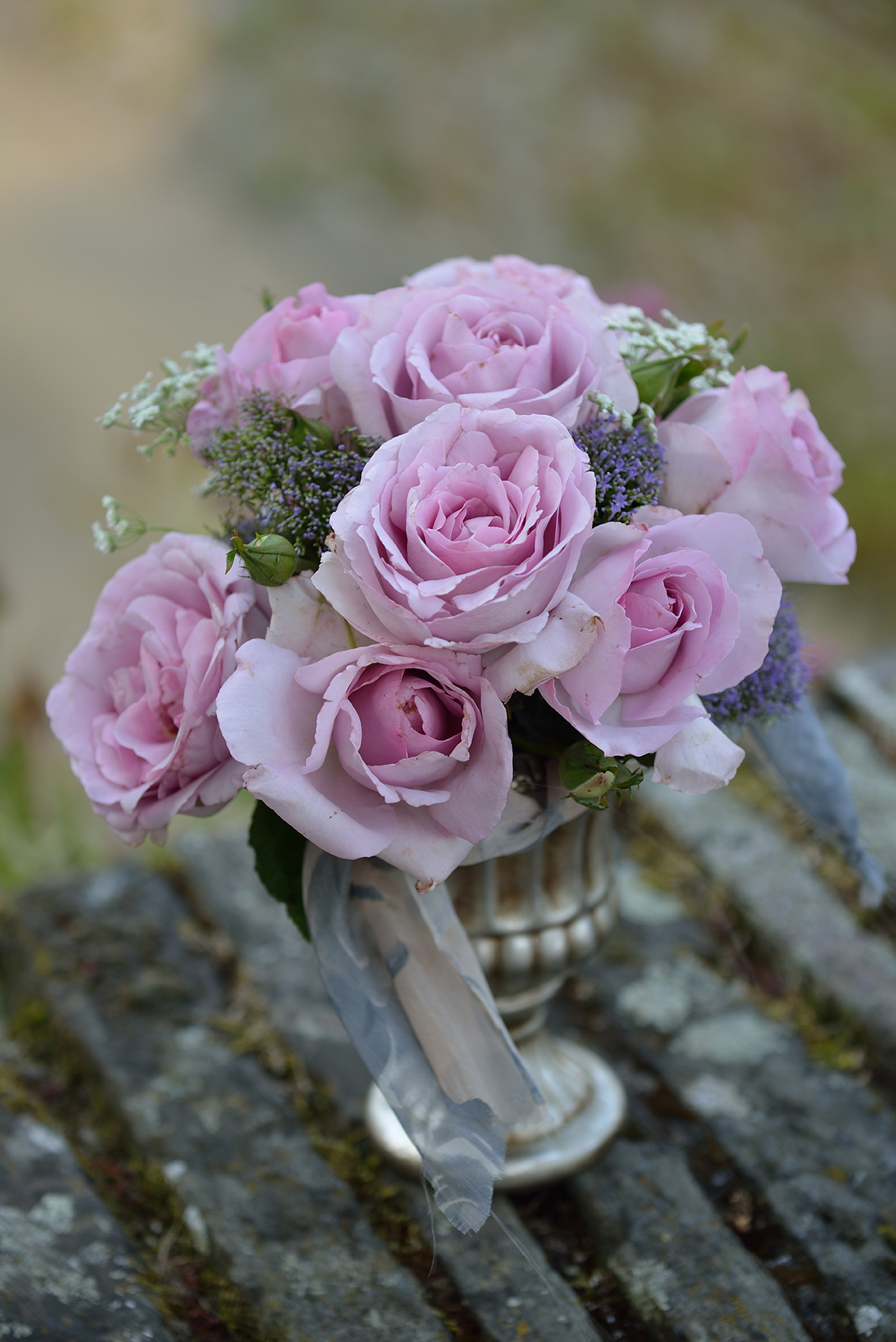 ローズシナクティフ | デルバールJAPON