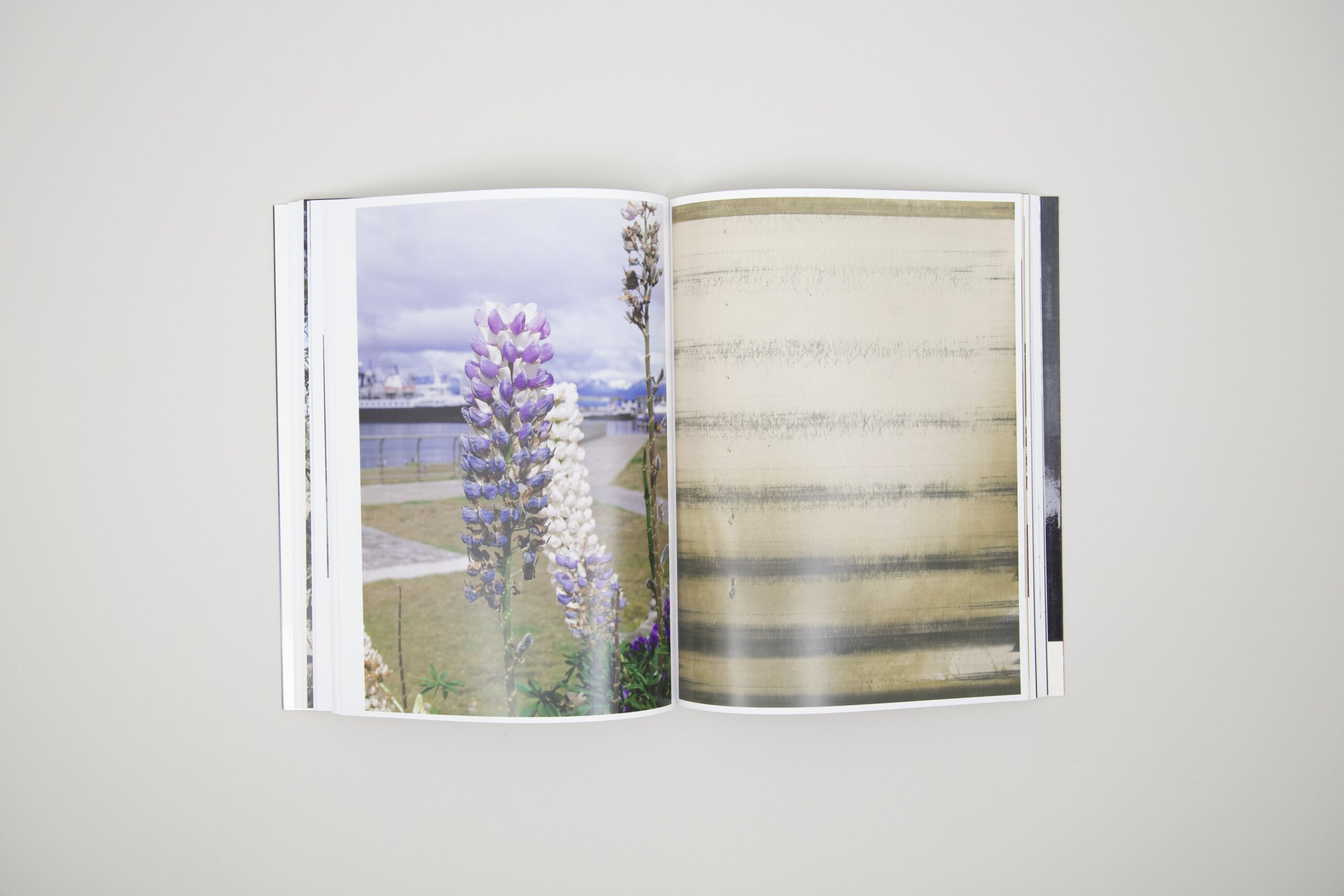 Neue Welt Wolfgang Tillmans - delpire & co