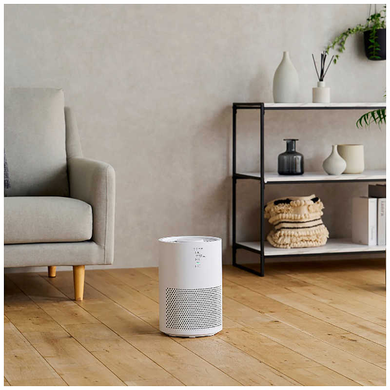 デンキチWeb / アイリスオーヤマ IRIS OHYAMA 空気清浄機 ホワイト KAP