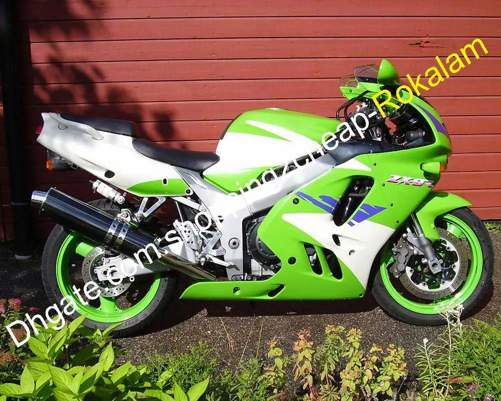 オートバイフェアリングキット：ZX9R 1994 1997のカスタムボディワーク