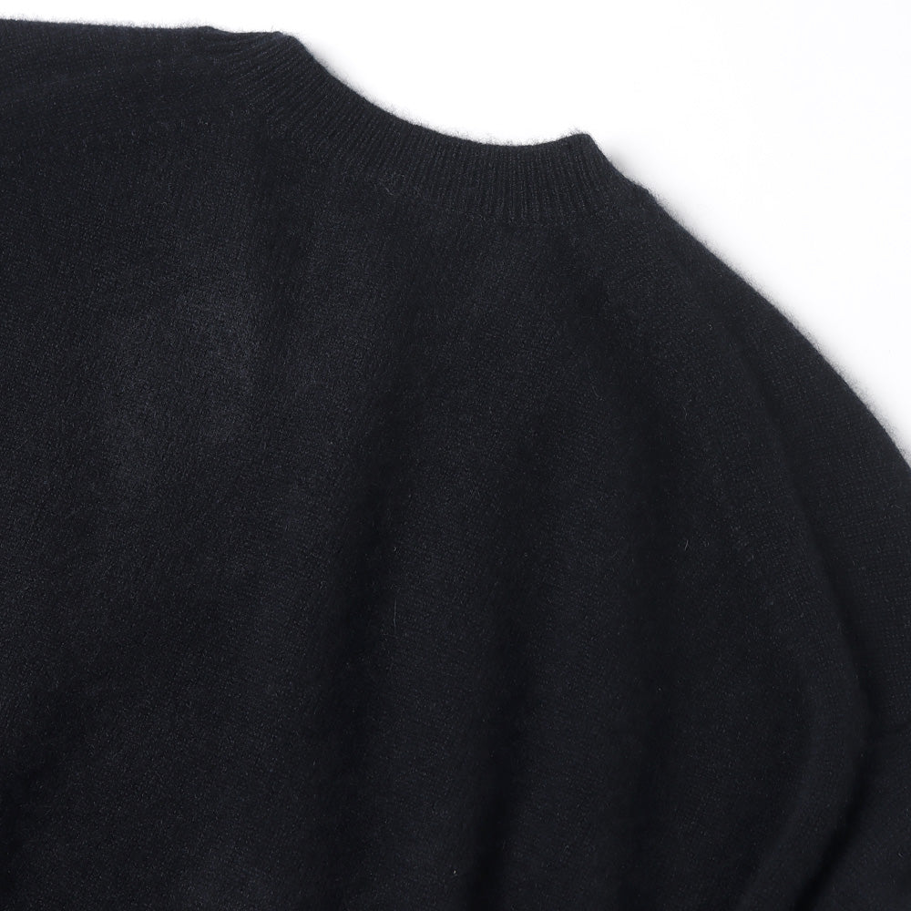 AURALEE] BABY CASHMERE KNIT P/O (A23AP03BC) | AURALEE / Knit