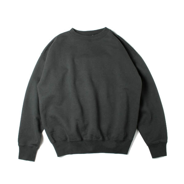 BACK WOOL SWEAT BIG P/O (A7AP01BW) | DIVERSE / カットソー (MEN