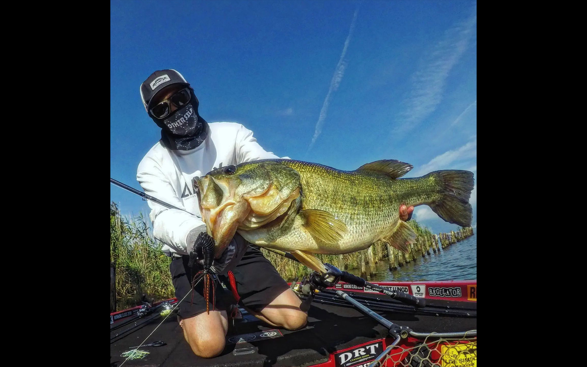 ARTEX “ZERO” | DRT inc.