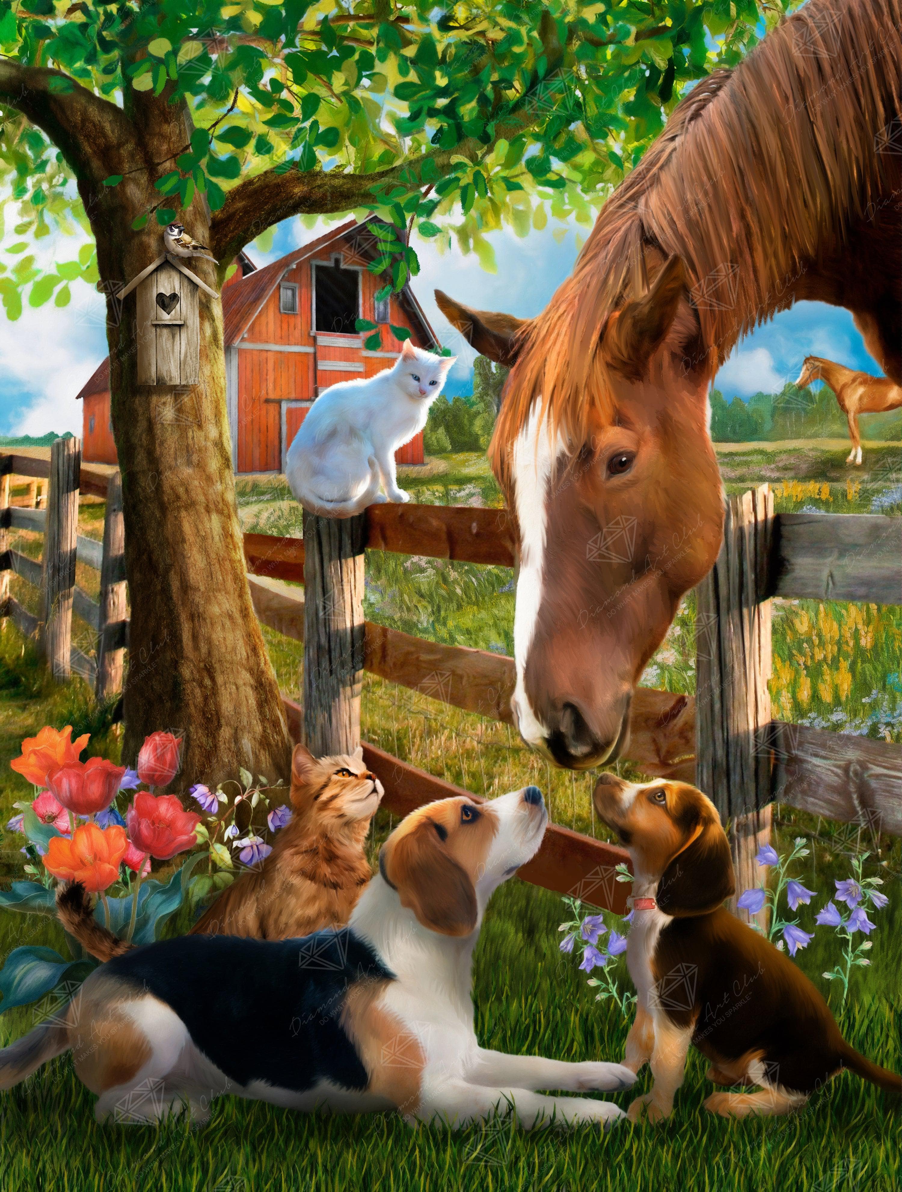 Making Friends – Diamond Art Club