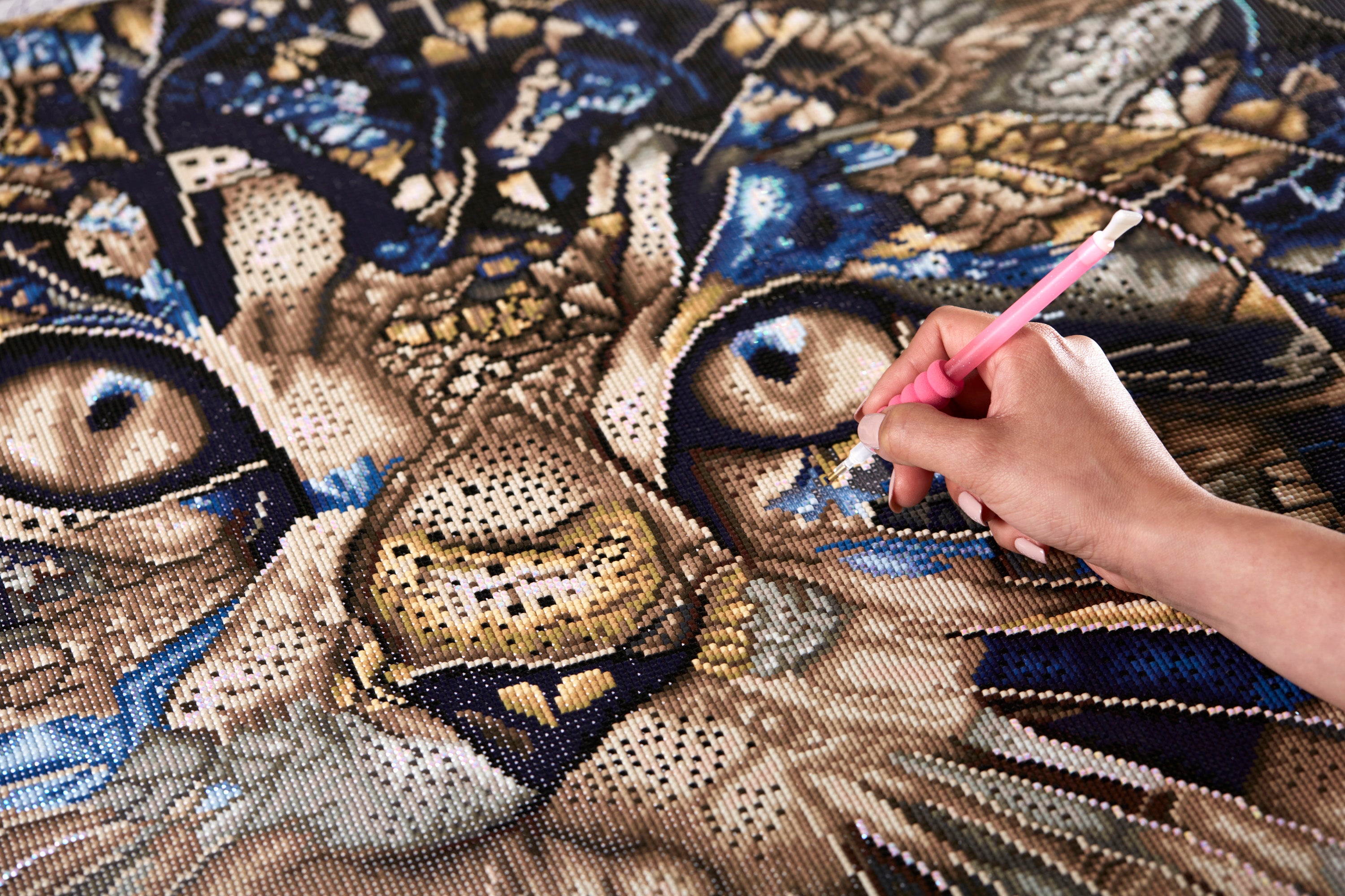 その他 Psychedelic Maine Coon Cat DAC Psychedelic Maine Coon Cat