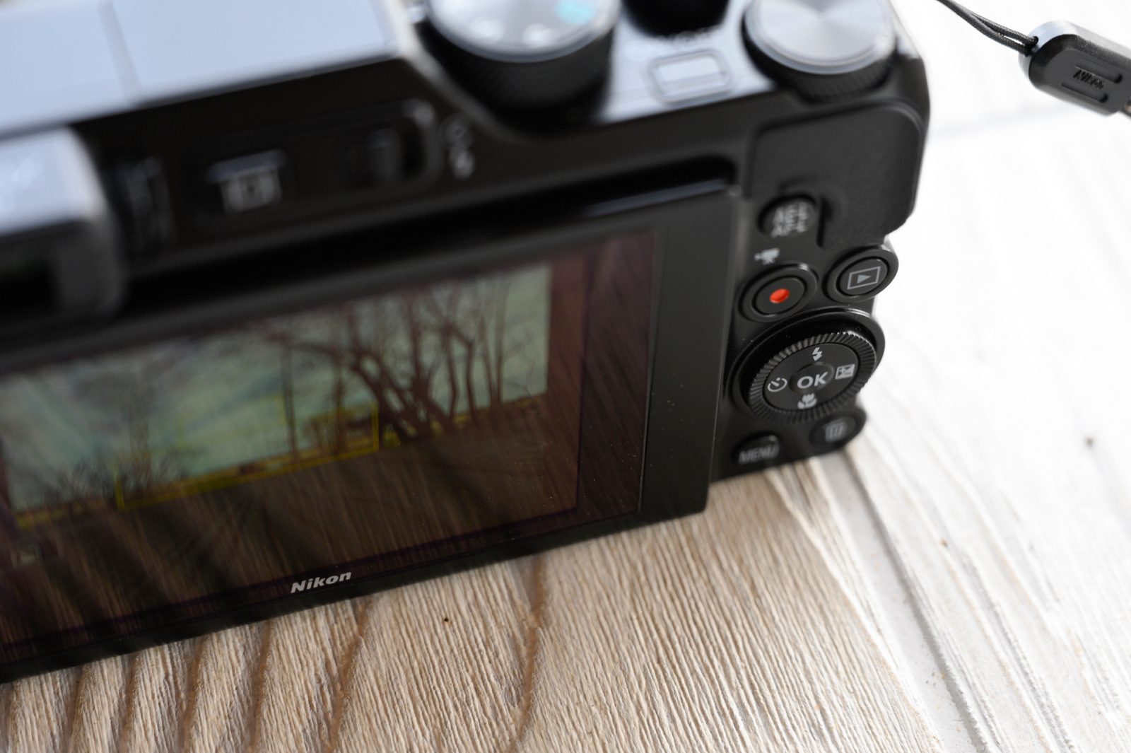 Nikon Coolpix A1000 Review - Digital Trends