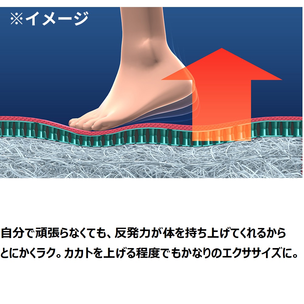 パーフェクトエクサ ディノスANAmall店