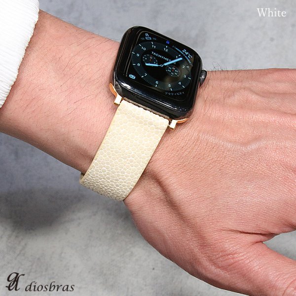 スティングレイ ガルーシャ 時計ベルト 時計ストラップ