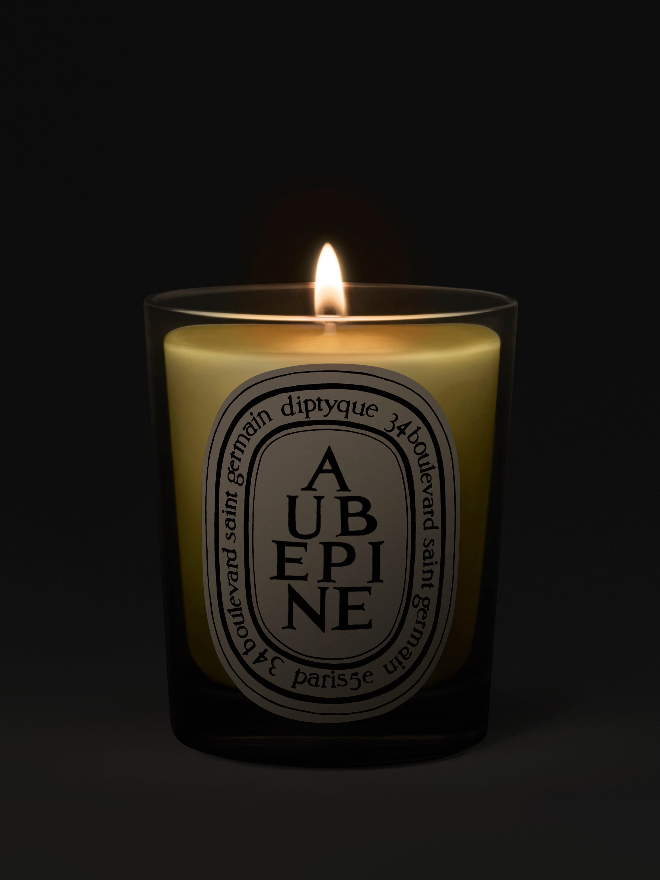 Aubépine (Hawthorn) - Classic candle | Diptyque Paris