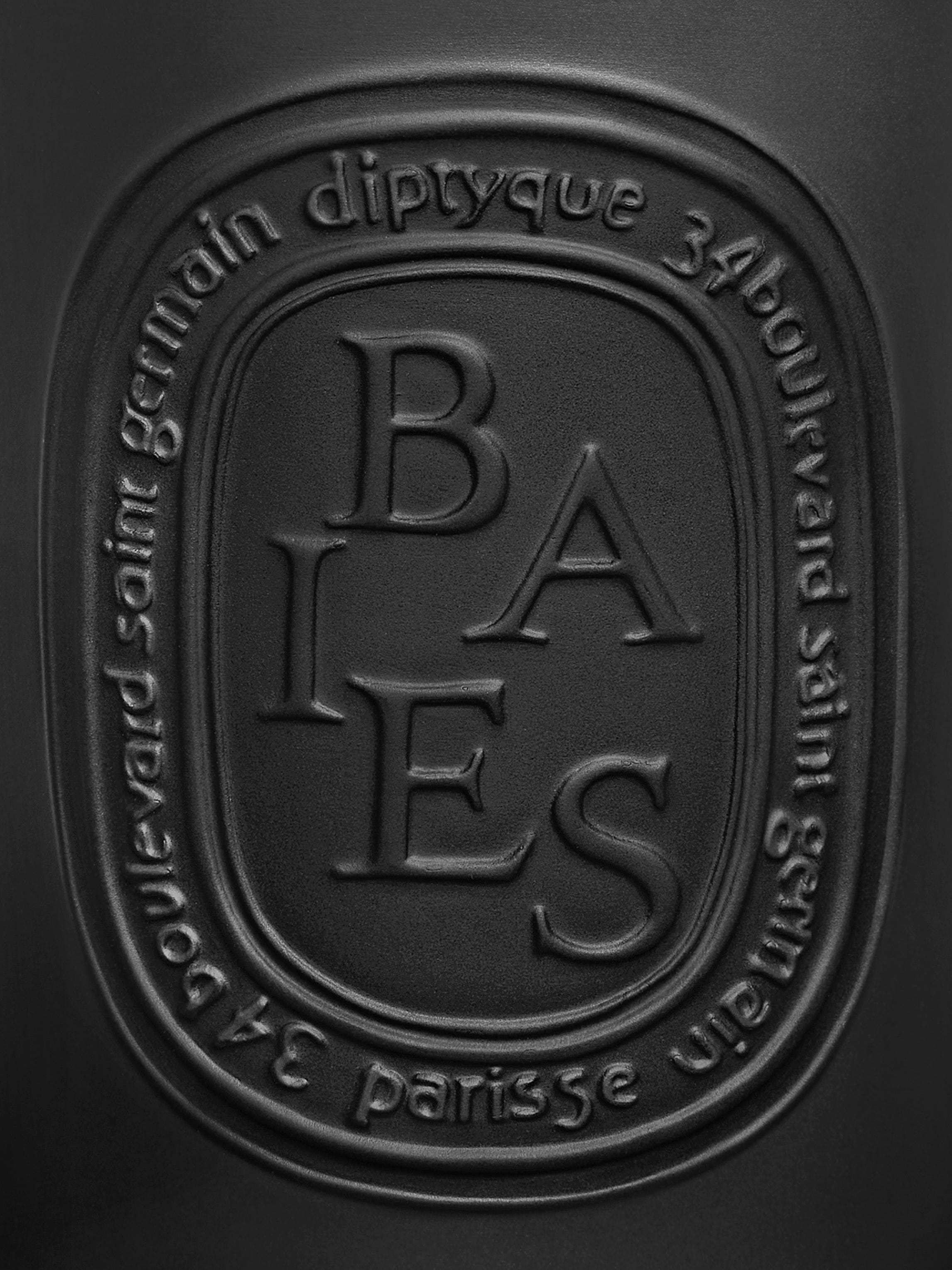 Baies (Berries) - Large candle | Diptyque Paris