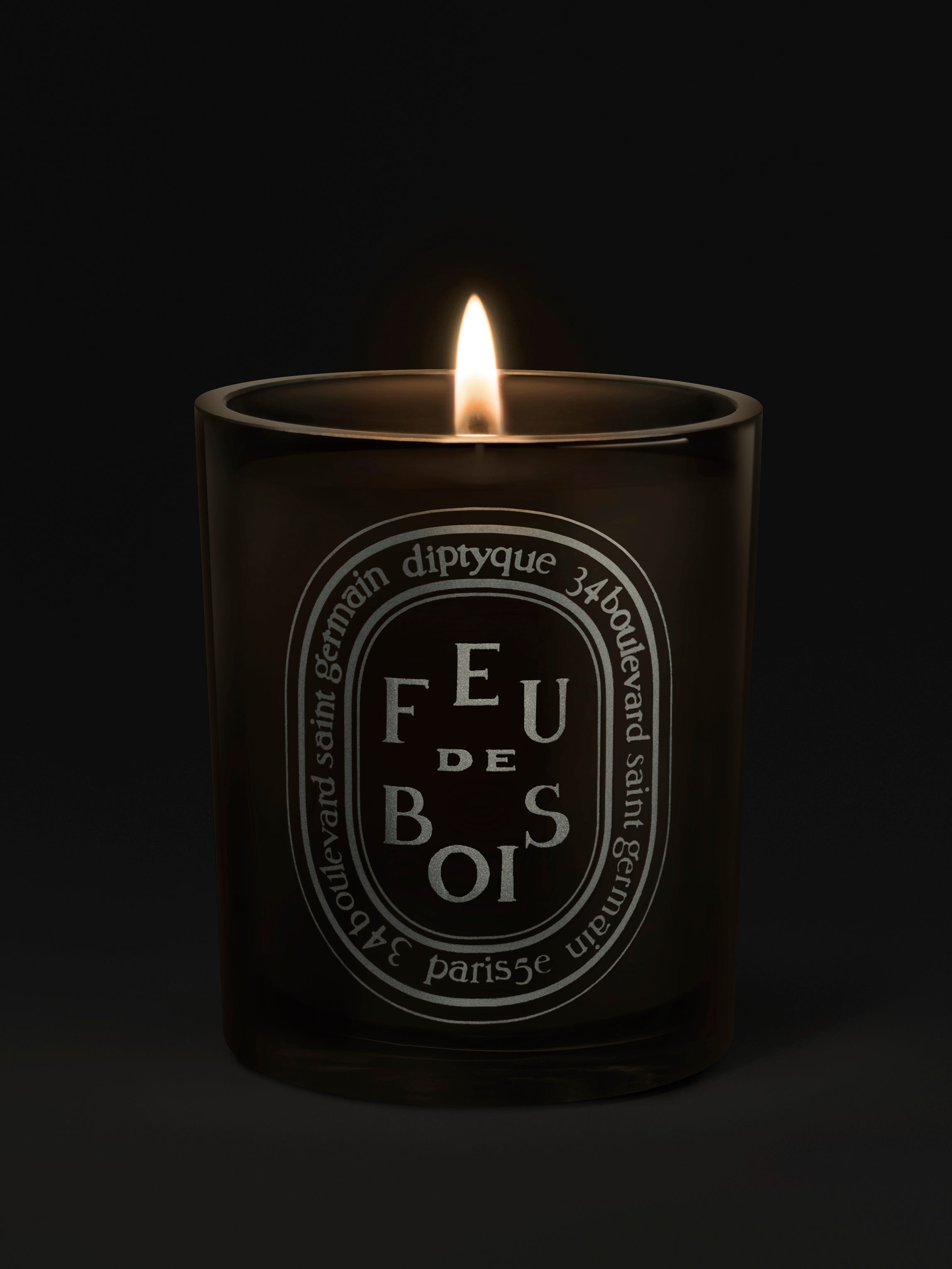 Feu de Bois (Wood Fire) - Medium candle | Diptyque Paris