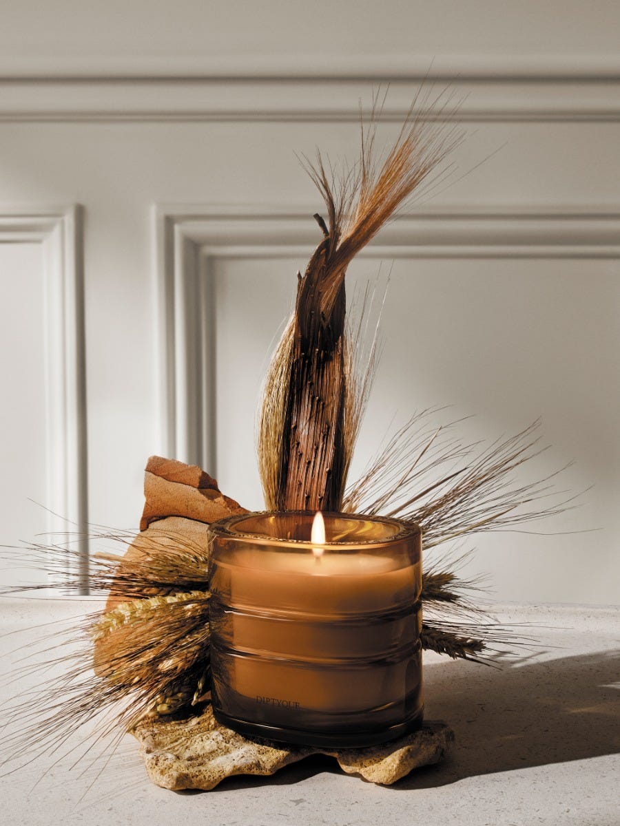 Terres Blondes (Golden Lands) - Signature Candle | Diptyque Paris