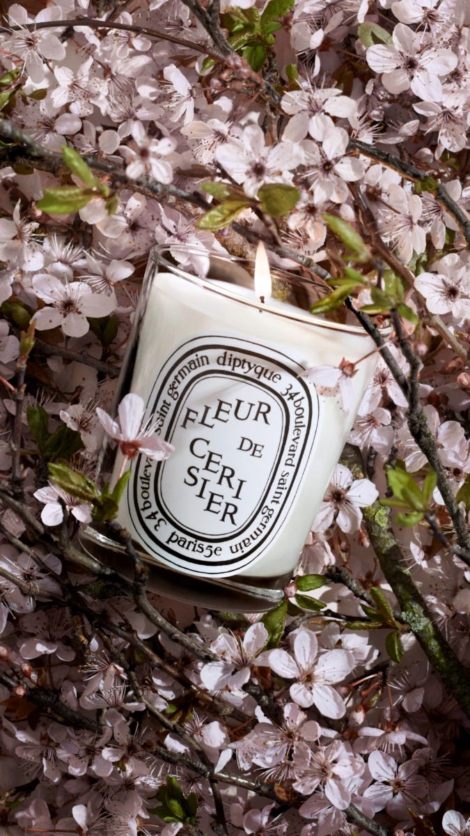 Fleur de Cerisier (Cherry Blossom) - Classic candle | Diptyque Paris