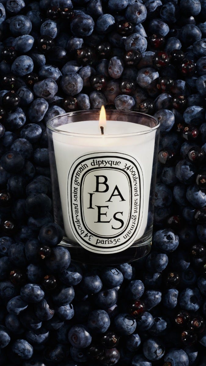 Baies (Berries) - Classic candle | Diptyque Paris