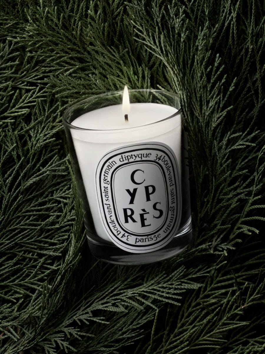 Cyprès (Cypress) - Small candle | Diptyque Paris