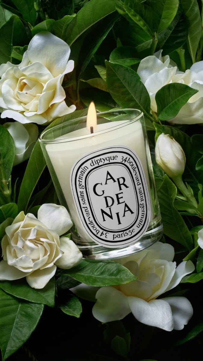Gardenia（ガーデニア） - クラシックキャンドル | Diptyque Paris