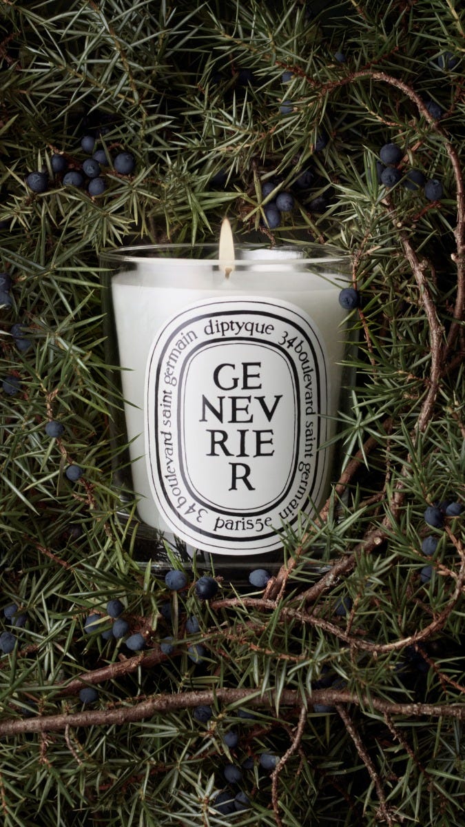 Genévrier (Juniper) - Classic candle | Diptyque Paris