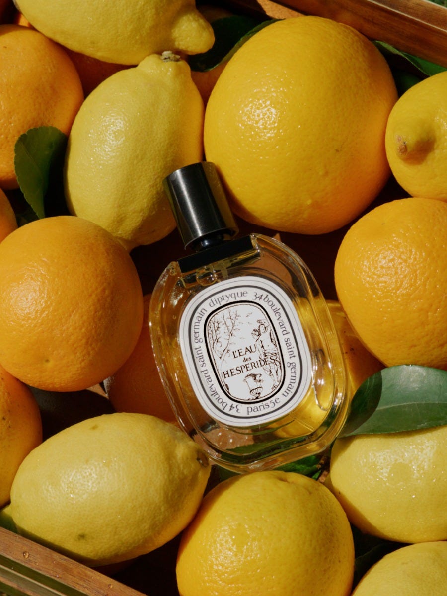 L'Eau des Hespérides - Eau de toilette - 100ml | Diptyque Paris