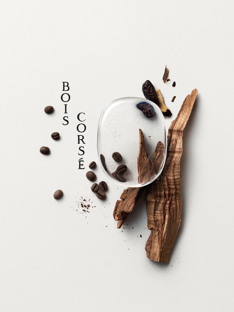 Bois Corsé - Exclusive perfumes | Diptyque Paris