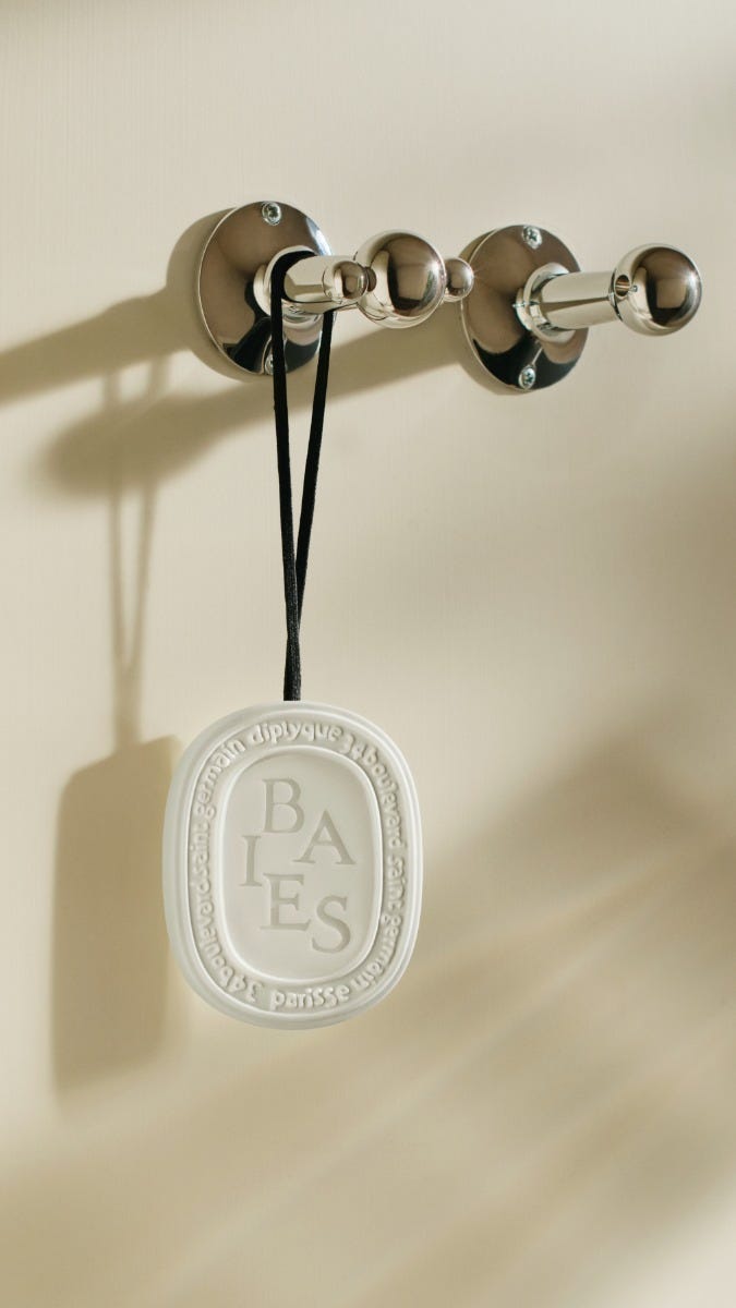 Baies (Berries) - Wax Oval | Diptyque Paris