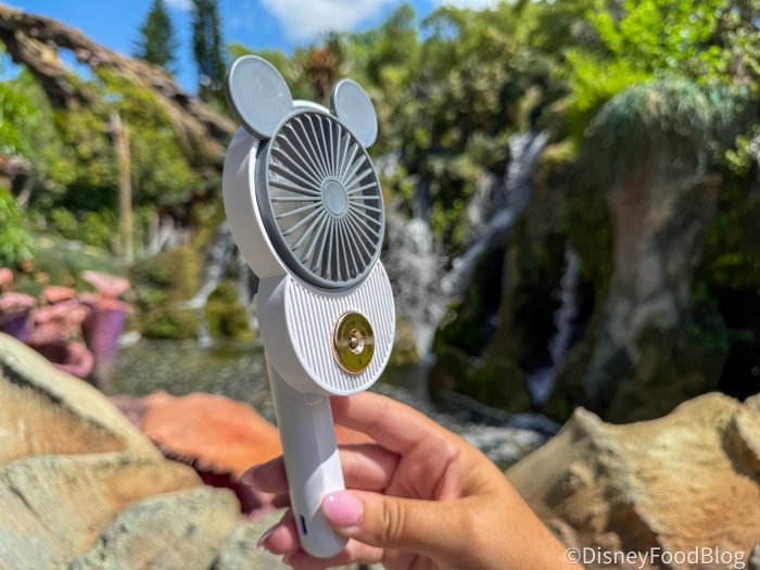 REVIEW: You Will Have To Pry This Mickey-shaped Fan Out Of My