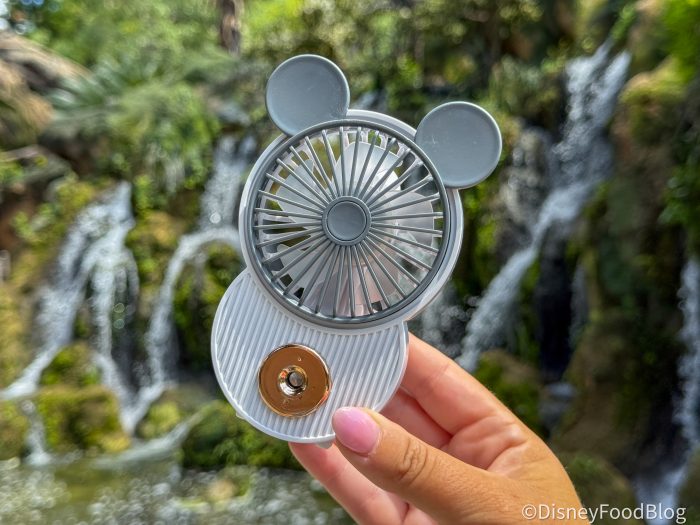 2025-disney-amazon-lacovia-