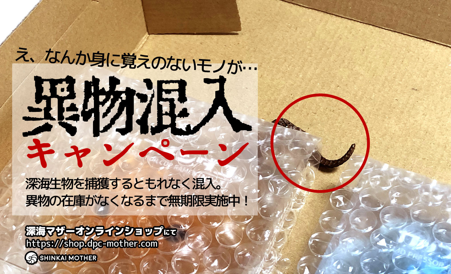 混入率100パーセント。身に覚えのないモノが同梱される異物混入