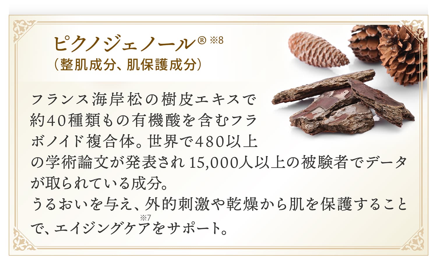 ピクノ プレシャス｜アクアヴィーナス｜ドクターリセラ