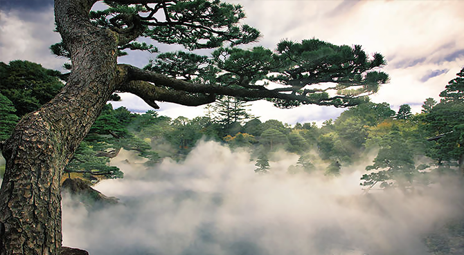 景観事業 | 事業情報 | フォグエンジニア霧のいけうち