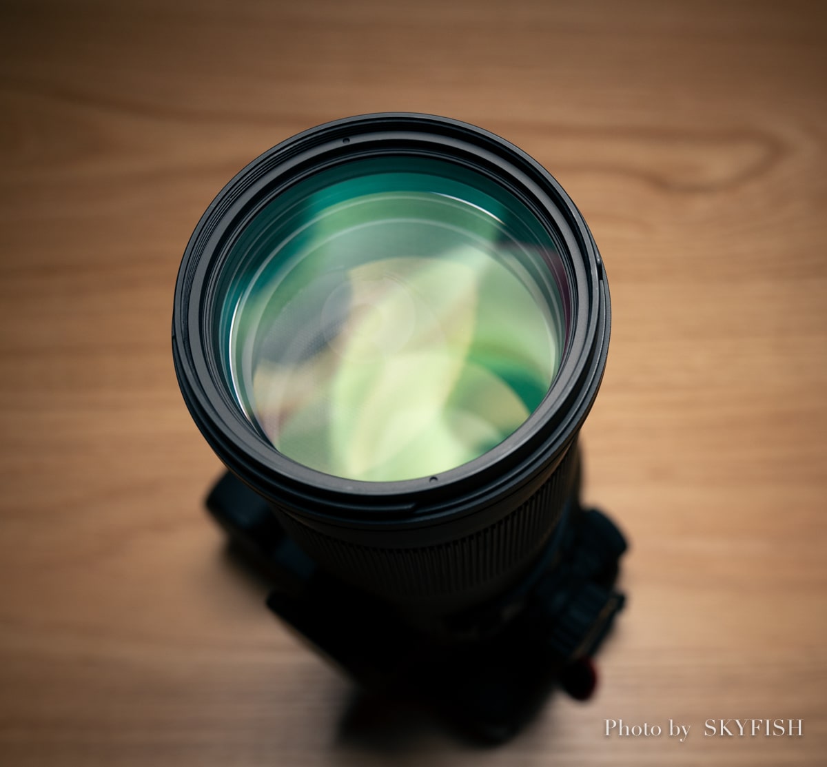 望遠マクロレンズ】SIGMA APO MACRO 180mm F2.8 EX DG OS HSMの使用