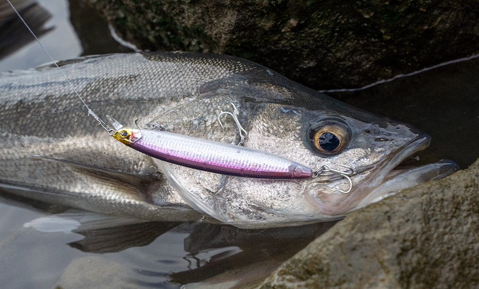 ソニックブーム® SBミノー - 釣具の総合メーカー デュエル