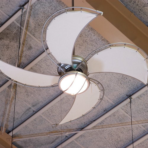 DULTON ONLINE SHOP | SINGLE SPIN CANVAS BLADES OFF WHITE(OFF WHITE