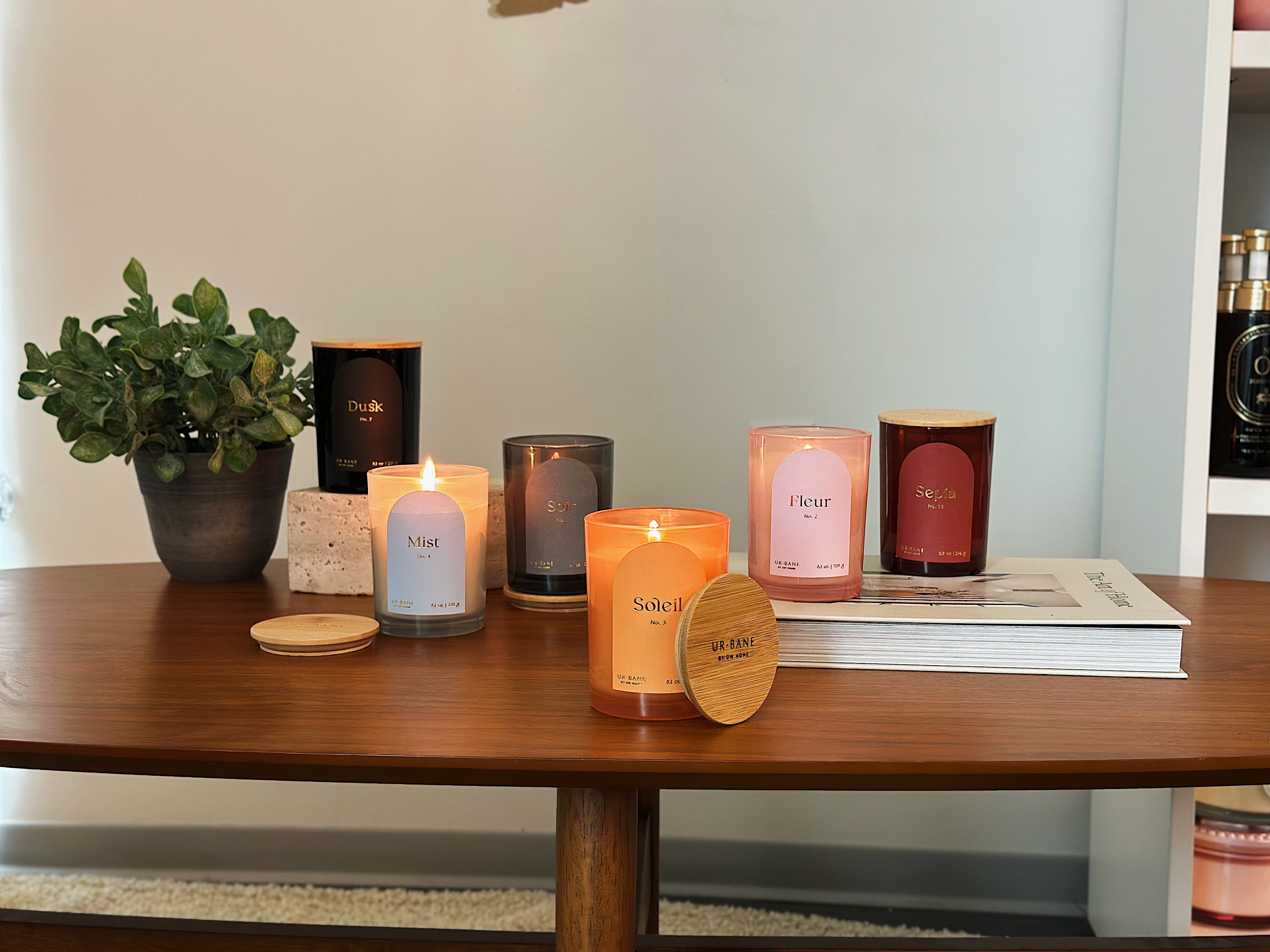 Sandalwood Musk | Reed Diffuser – DW Home Candles